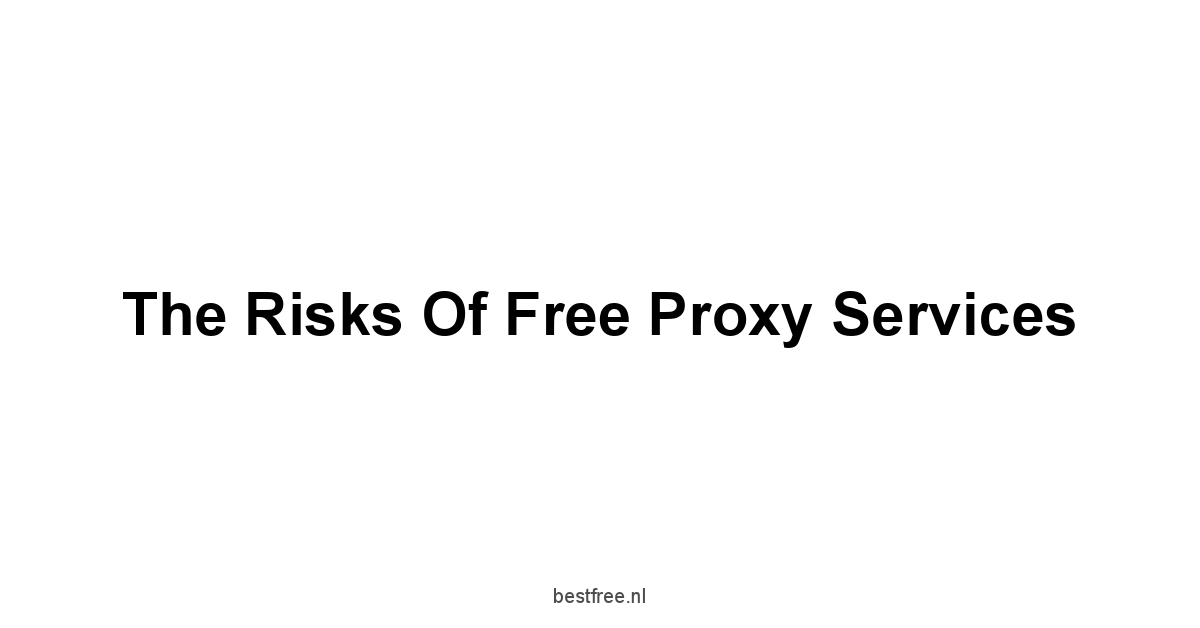 The Risks of Free Proxy Services