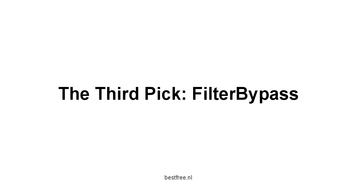 The Third Pick: FilterBypass