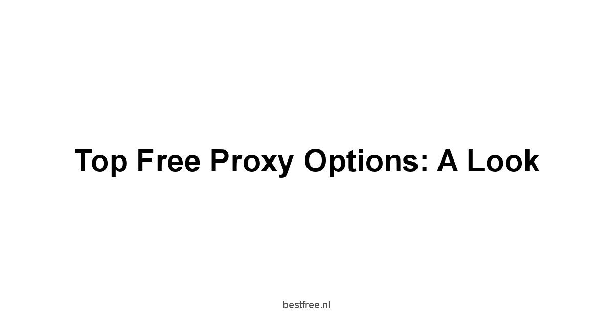 Top Free Proxy Options: A Look