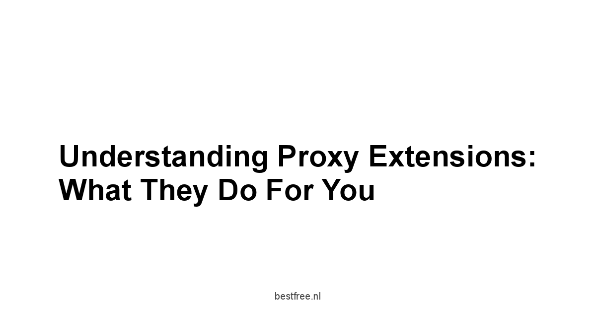 Understanding Proxy Extensions: What They Do For You