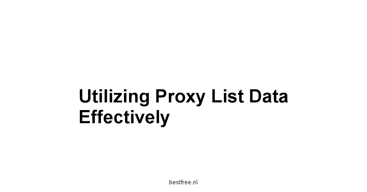 Utilizing Proxy List Data Effectively