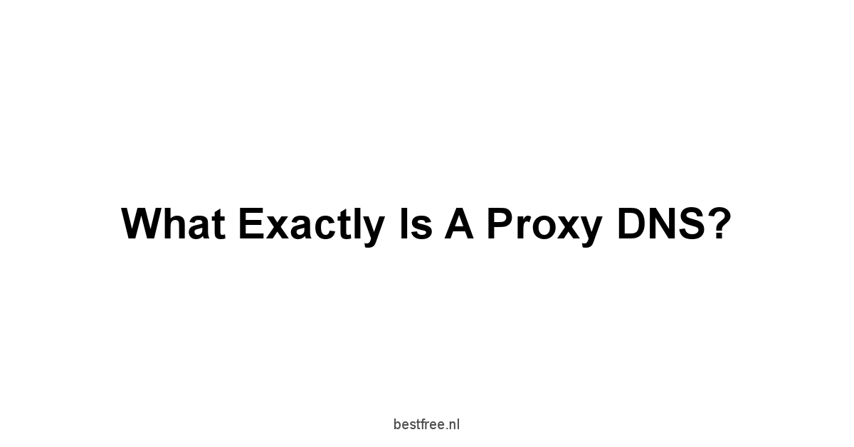 What Exactly is a Proxy DNS?