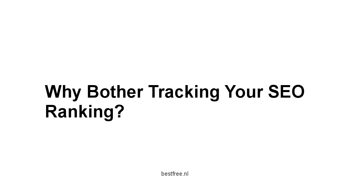 Why Bother Tracking Your SEO Ranking?