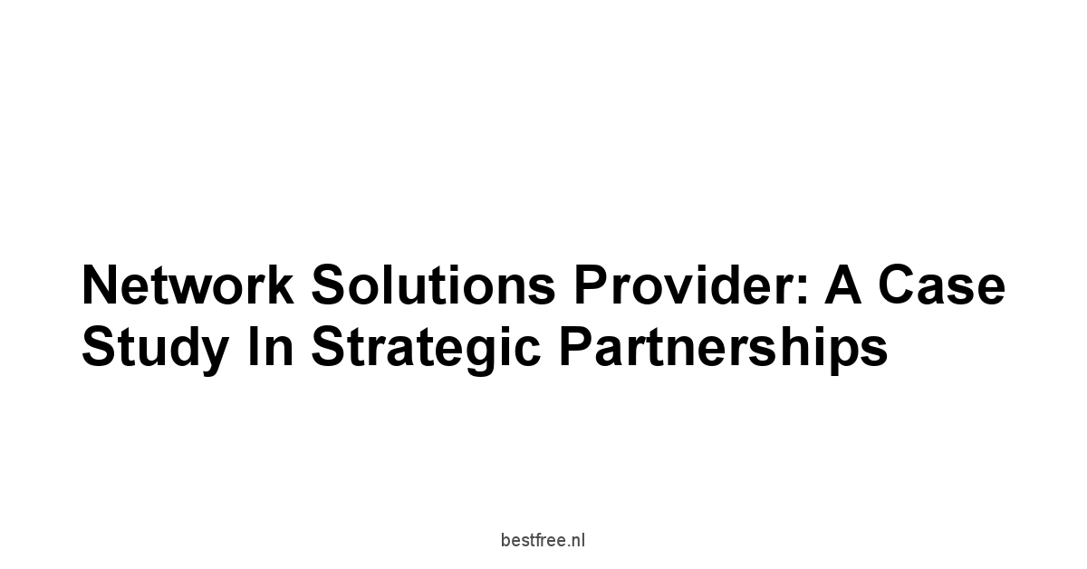 Network Solutions Provider: A Case Study in Strategic Partnerships