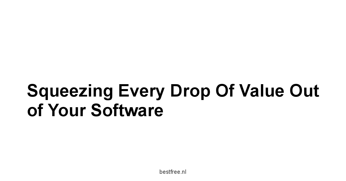 Squeezing Every Drop of Value Out of Your Software