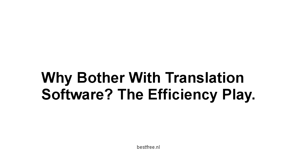 Why Bother with Translation Software? The Efficiency Play.